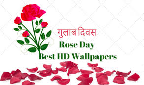 Happy Rose Day Images Pictures Wallpapers 2021 Hd Agil nugroho request papa's wingeria hd mei siang request papa's hot doggeria hd oflukurt61 request papa's scooperia hd happy rose day images pictures