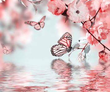 Manzaral� Wallpapers, Manzara Foto�raflar�, Manzaral� Duvar Ka��tlar�