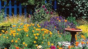 Download other wallpapers about cottage garden design ideas in our other reviews. Your Guide To Growing An English Cottage Garden In The West Sunset Sunset Magazine