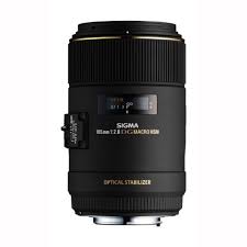 The Sigma 105mm Macro Lens Essential For Real Close Up Photos Macro Lens Canon Nikon Macro Lens Sigma Lenses