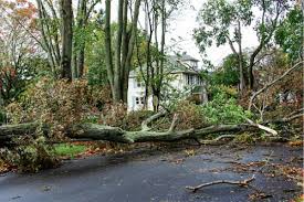 Monday's derecho damaged 10m acres of crops in iowa; Derecho Storm Tears Through The Midwest Causes Widespread Damage Insurance Business