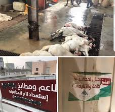 جازان الان V Twitter بلدية جازان تغلق مسلخ محليه وتغرمه ٥٠ الف ريال لمخالفته الأنظمة وذبح عدد من إناث الضأن الهزيله لصالح مطعم بـ جازان Https T Co Sg6tm4ts5v