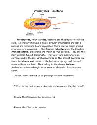 All prokaryotes have a single, circular chromosome and lack a nucleus and 3olor code the cell wall of this cyanobacterium brown, the cytoplasm e!!ow, the na color re, the photosynthetic membranes #reen, and the. Prokaryote Bacteria Activity And Coloring