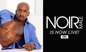 Mile High Media, Buddy Profits Team Up to Launch NoirMale.com | AVN