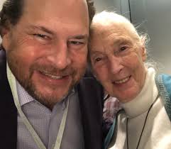 Shelley A Olson (@ShelleyOlson)