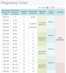 Pregnancy Chart Dancing Baby