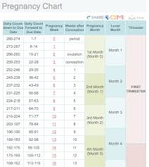 Pregnancy Chart Dancing Baby