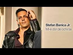 Stefan banica jr si adevarul despre el. Stefan Banica Jr