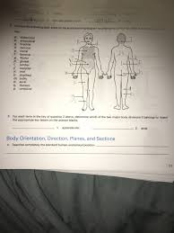 For a human in anatomical position, this pair of terms is equivalent to anterior and posterior. Solved 2 Fingors Sopulec 3 Shoulder Blade Region E The F Chegg Com