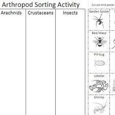 Pin On E Arthropoda