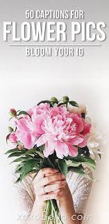 I hope your bonesets quickly. 50 Instagram Captions For Flower Pics That Will Have Your Insta Blooming Xoxobella