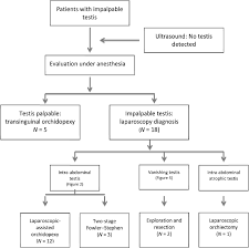 That's how it's supposed to be. Impalpable Testis Management Algorithm Used At Universiti Kebangsaan Download Scientific Diagram