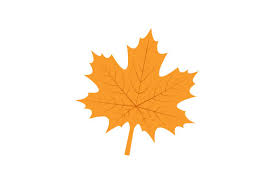 749,000+ vectors, stock photos & psd files. Maple Leaf Svg Cut File By Creative Fabrica Crafts Creative Fabrica