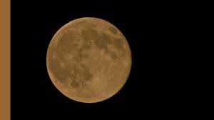 Beyond the phases of the moon, you will also see daily moon illumination percentages and the moon's age. Super Snow Moon 2019 India Time When How To Watch The February Supermoon 2019 In India Gq India