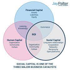 Social Roi - Jay Palter