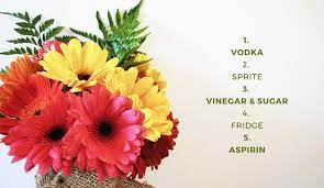 What helps flowers last longer. Mythbusters How To Keep Flowers Fresh Longer Fresh By Ftd