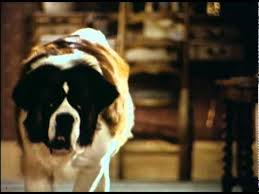 Beethoven 1992 Big Puppy Big Dog Scene 3 10 Movieclips Youtube