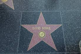 Image result for stella di david