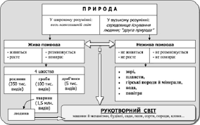 Формування елементарних уявлень та понять про об'єкти природи (предмети і  явища) та їх взаємозв'язки у системі 'жива - нежива природа', 'природа –  людина'. Курсовая работа (т). Педагогика. 2014-01-24