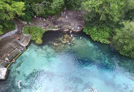 We have beautiful shaded campsites that are surrounded by hundred year old oak trees and thick green foliage, giving each site a cozy and private feel. Ichetucknee Springs State Park Florida State Parks