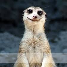 TOP 10 BEST Market Research & Analysis near Ulm, Baden-Württemberg, Germany 