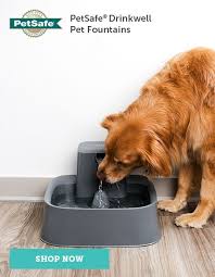 Petsafe Drinkwell Pet Fountains Pets Pet Care Dogs Healthy Pets
