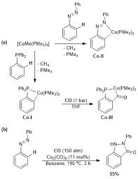 Convert 1 romanian leu to euro. Recent Advances On Mechanistic Studies On C H Activation Catalyzed By Base Metals