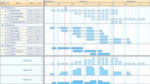 Ehr Implementation Plan Template Beautiful 9 Best Of Hospital Planning Gantt Chart Action Implementation Plan How To Plan Business Plan Template