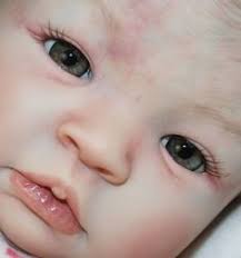 900+ Reborn dolls