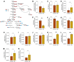 Image result for Yellow 1990 Thiele Inc