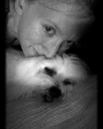 Alicia León de DLS 𓍊𓋼 (@yogifaery) · Instagram 照片和视频