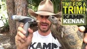 Image result