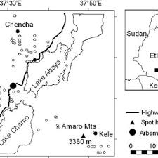 Image result for Agrocharis pedunculata