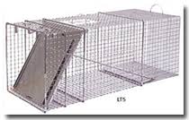 Bat control, bee control, bees nest control, bear control, bird control and cleanup, chipmunk control, coyote control, dead animal control, deer services offered by pest control companies focus on insects, not the wildlife and animals of ohio. Animal Pest Control Francis Animal Pest Control