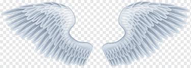 Angel Angel Wings Cartoon Angel Stock Photography Png Pngwing Wings collection (set of wings). angel angel wings cartoon angel
