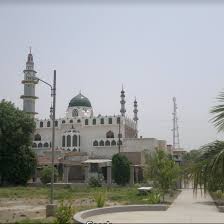 Image result for sinjhoro