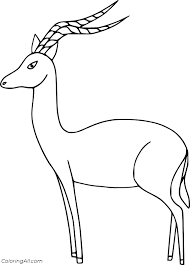 Impala Coloring Pages Coloringall