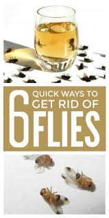 Get Rid Of Flies Naturally In 2020 Get Rid Of Flies Homemade Fly Traps Vinegar Uses