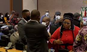 WATCH] ANC chief whip Pemmy Majodina kicked as Pan African Parliament  descends into chaos