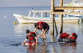 2h10 environ à chaque épisode. Pekin Express 2019 Galere En Paddle Et Forts En Gueule Le Resume De L Episode 1