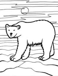 Colorează Animale Sălbatice Urs Polar Polar Character Origami