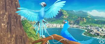 Pin On Birds