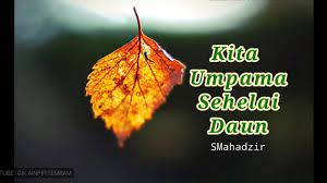 Pantun adalah daun terap diatas dulang anak udang mati dituba dalam kitab ada terlarang yang haram jangan dicoba. Sajak Kita Umpama Sehelai Daun Puisi Moden Komsas Tingkatan 1 Youtube
