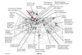 Honda accord cars are available in two body versions: 95 Honda Accord V6 Engine Diagram Convince Wiring Diagram Line Convince Renderreal It