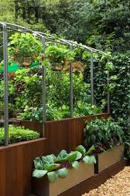Abundant The Most Beautiful Word To Describe The Vegetable Patch This Is Idea For A Sloping Area Of The Garden Where A Veget Plants Edible Garden Veg Garden