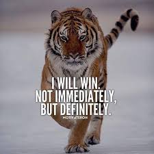 29 Of The Best Quotes On Success And Life The Funny Beaver Inspirational Quotes Motivation Tiger Quotes Lion Quotes