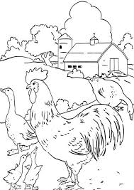 So, if you like to get these great pics related to coloring pages chicken free. Free Easy To Print Chicken Coloring Pages Tulamama