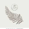 X ray leaf stock images from offset. 1
