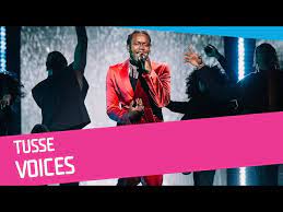 8,194 views, added to favorites 301 times. New Single Voices Tusse