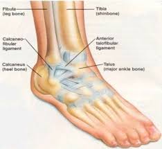 Ankle Sprain Active Care Physiotherapy Clinic